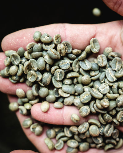 Un café décaféiné n'est pas un café sans caféine !