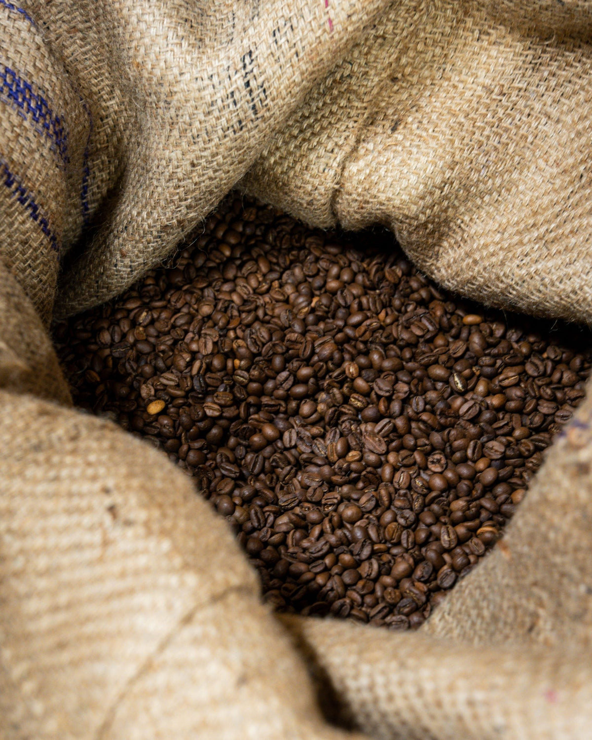 Quatre mots du café que personne ne définit pareil — Guide café de spécialité Coffao